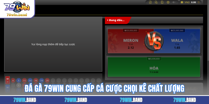 Đá gà 79WIN cung cấp cá cược chọi kê chất lượng