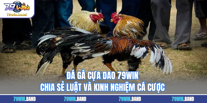 Đá Gà Cựa Dao 79WIN - Chia Sẻ Luật Và Kinh Nghiệm Cá Cược