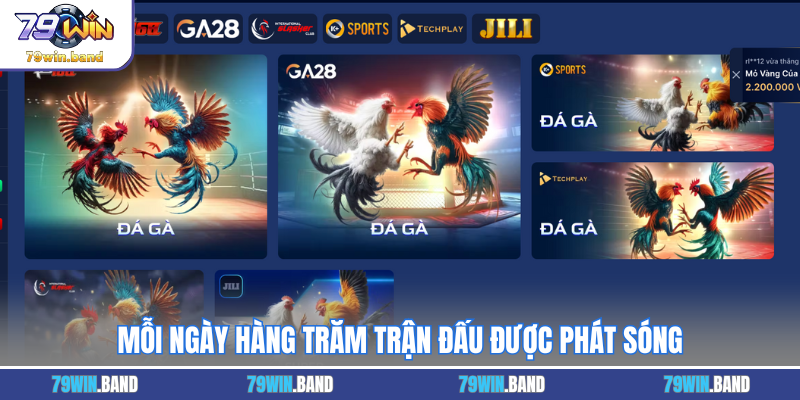 Mỗi ngày hàng trăm trận đấu được phát sóng