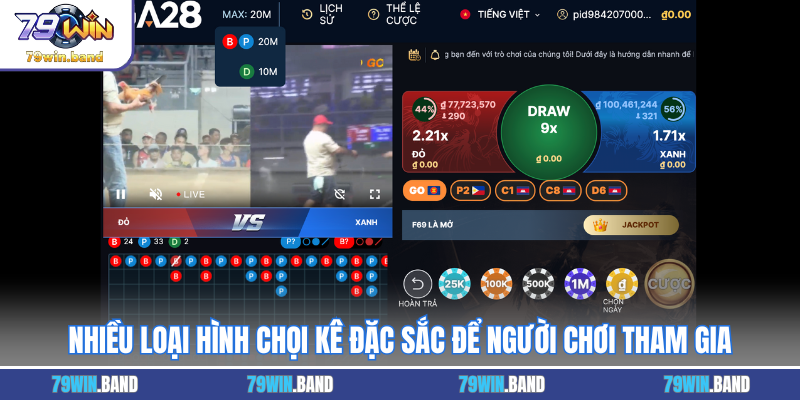  Nhiều loại hình chọi kê đặc sắc để người chơi tham gia